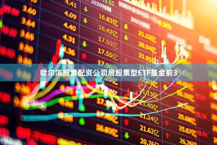 哈尔滨股票配资公司居股票型ETF基金前3